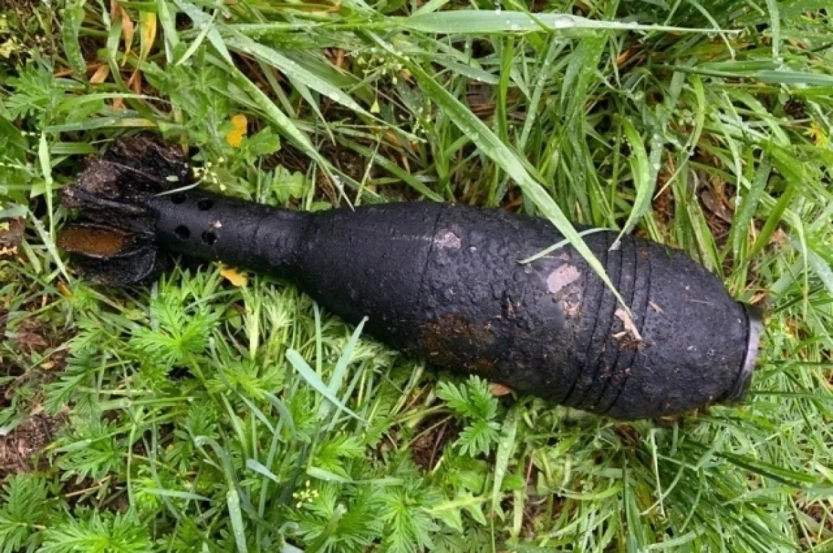 Минометный снаряд нашел на придомовом участке житель Алтайского края