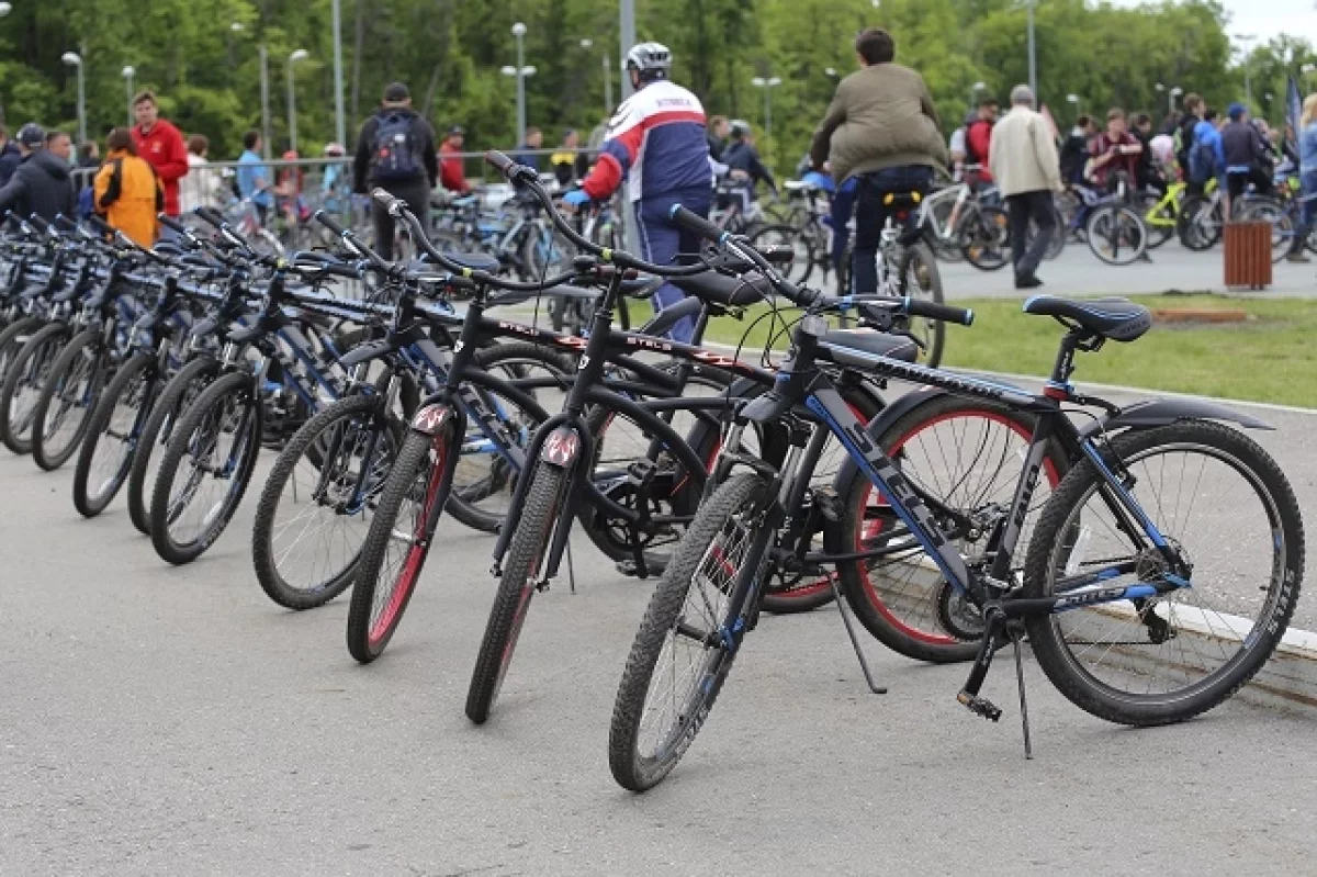 В Ростове 26 мая из-за велопарада будут перекрывать движение автотранспорта