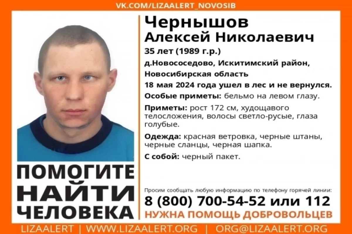 В лесу под Новосибирском пропал 35-летний мужчина с бельмом на глазу | АиФ  Новосибирск