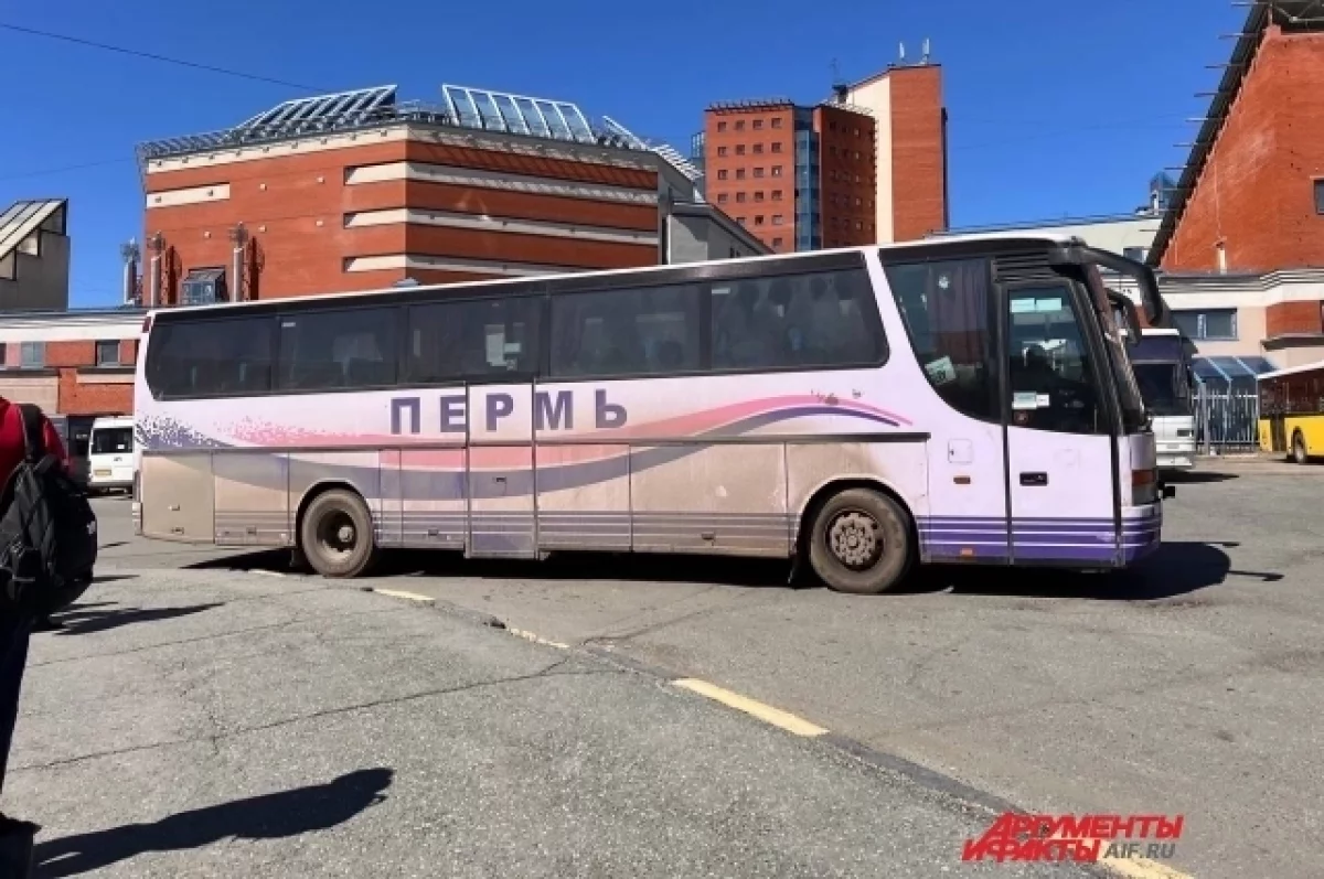 Пассажиры автобуса Ижевск – Пермь возмутились духотой и грязью в салоне |  АиФ Удмуртия