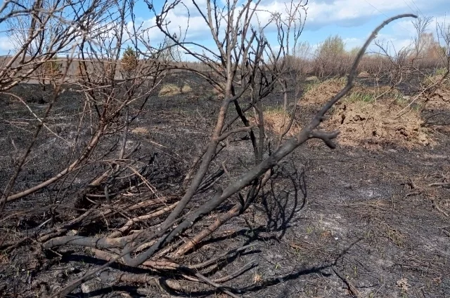 В Кировской области за сутки произошло два лесны пожара