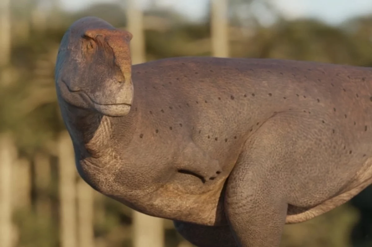 В Аргентине обнаружили новый вид плотоядного динозавра