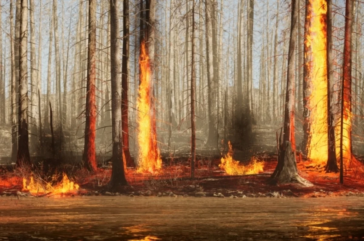 В Чернышевском районе Забайкалья сгорели почти 8 тыс. гектаров леса