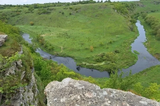 Река Воргол вид с Воргольских скал