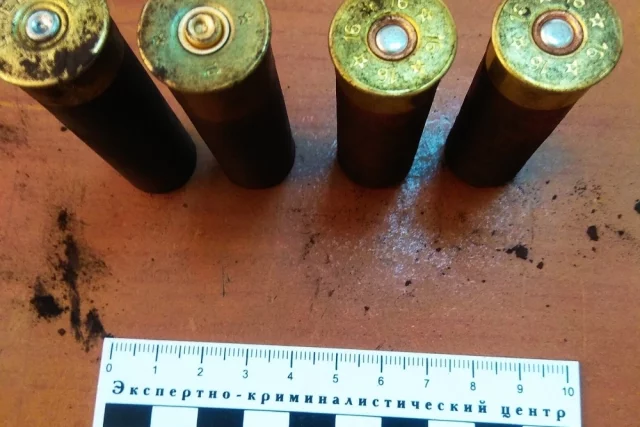 При обыске у членов банды нашли несколько автомобильных номеров, обрез ружья с патронами, пневматический пистолет.