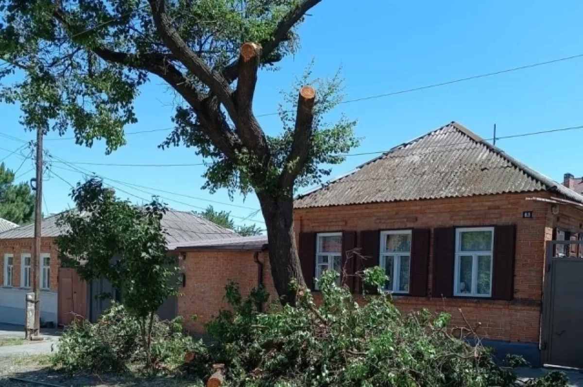 Из-за сильного ветра в Ростове 25 мая упали 23 дерева и четыре конструкции