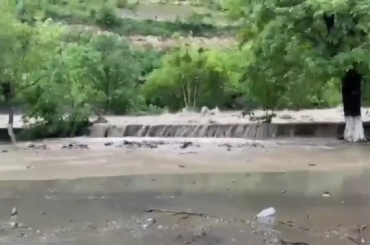 В МИД РФ отреагировали на ситуацию с наводнением в Армении