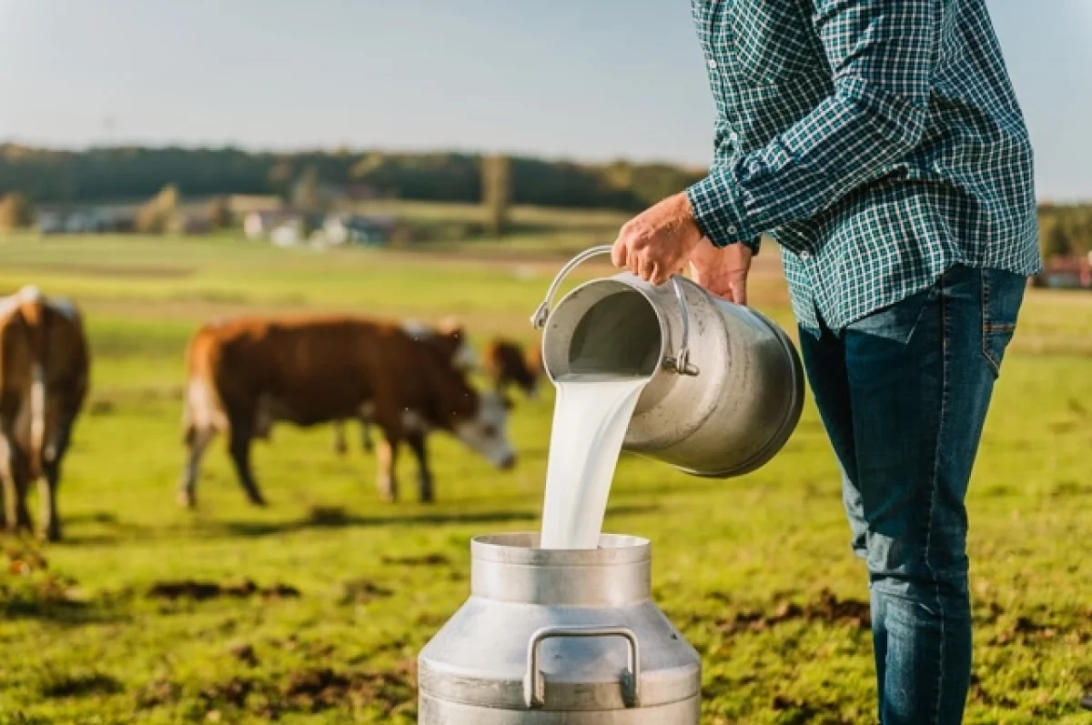 Не пей молочко. Чем могут быть опасны «фермерские» продукты?