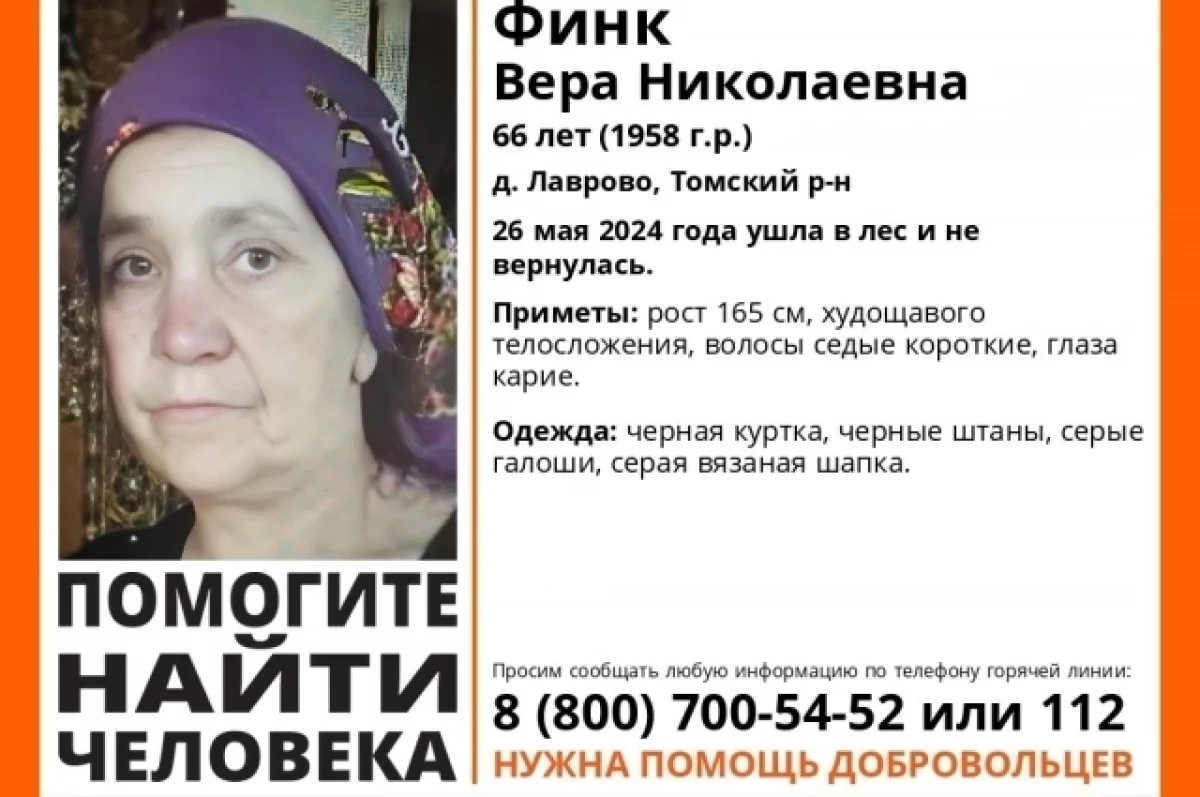 Томская полиция подключилась к поискам пропавшей в лесу 66-летней женщины |  АиФ Томск