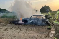 На опубликованных МЧС кадрах видно, что авто сгорело дотла.