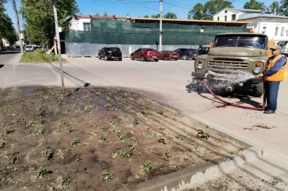 В Кинешме управление городского хозяйства ежедневно поливает клумбы | АиФ  Иваново