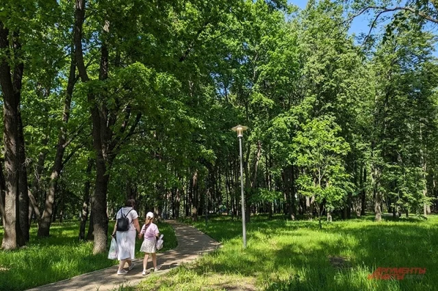 Парк Дружбы в Зеленограде. 