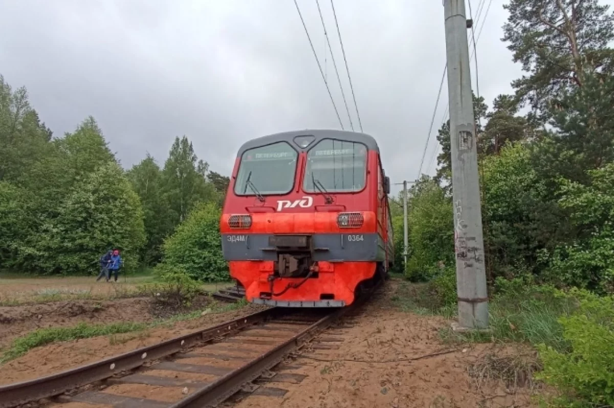 Томские школьники летом смогут ездить в Новосибирск и Новокузнецк в полцены  | АиФ Томск