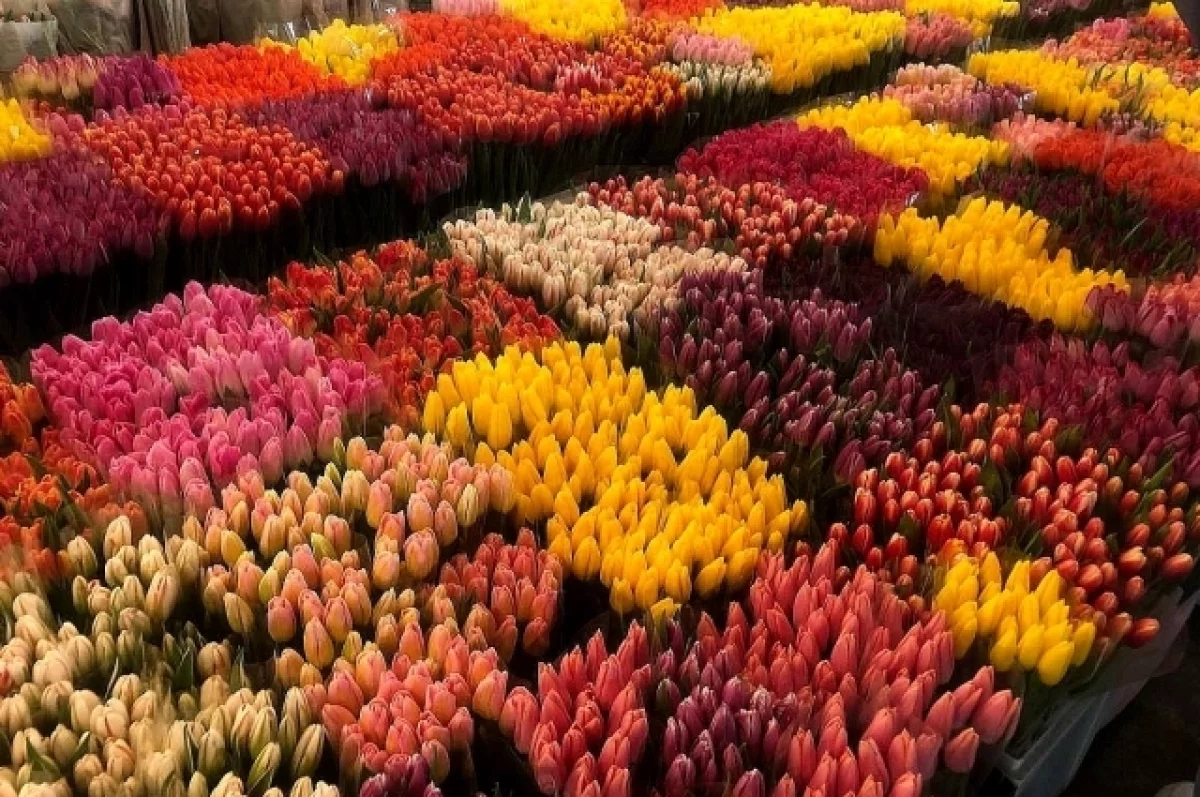 В Ростовскую область из Литвы в мае завезли 148 тыс. срезов цветов