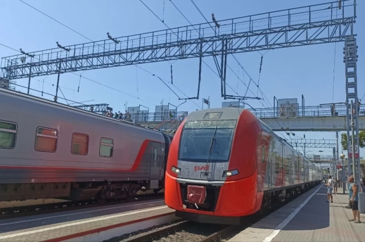 В 2025 году в Новосибирск из Барнаула запустят аналог поезда «Ласточка»