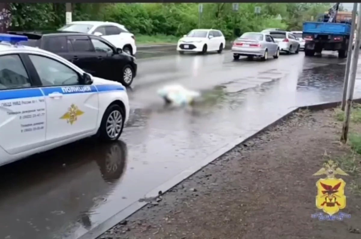 В Чите водитель грузовика насмерть сбил женщину | АиФ Чита