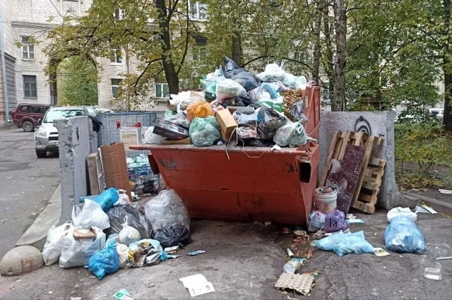 Часто вокруг мусорных контейнеров - свалка.