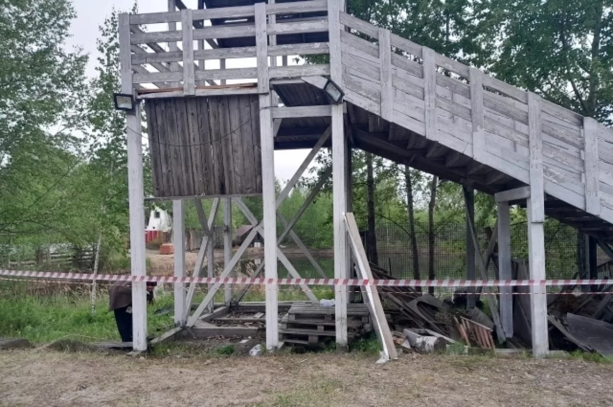 Семь человек пострадали, упав с 8-метровой горки на свадьбе в Биробиджане |  Аргументы и Факты