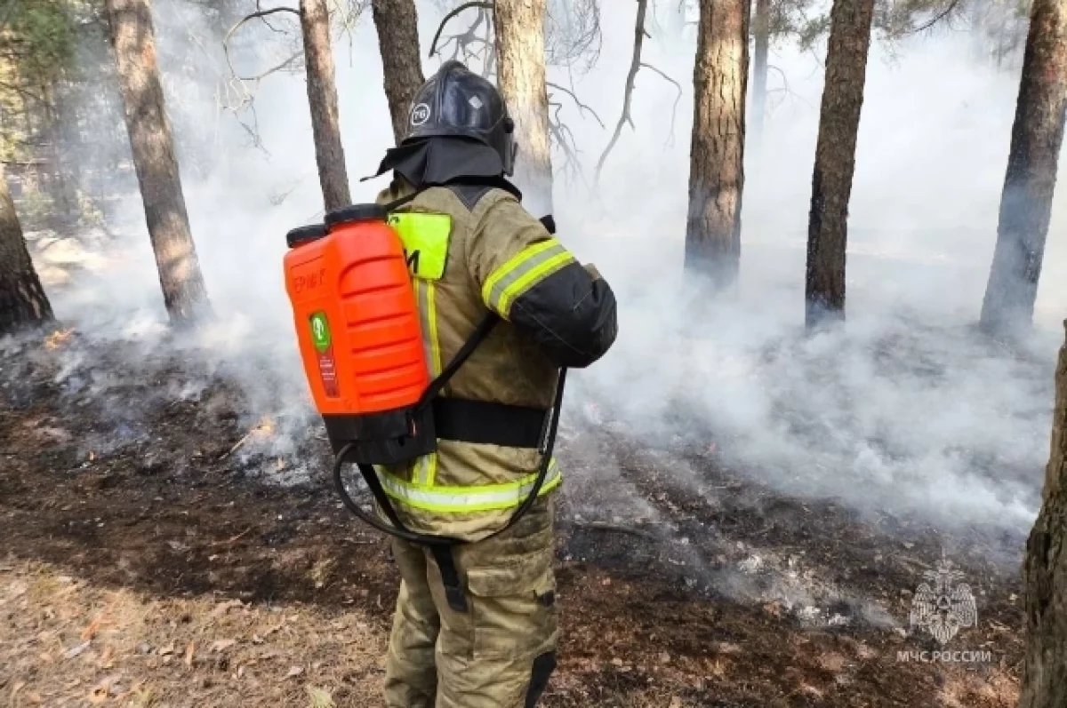 В Ростовской области за первую неделю июня произошло 154 пожара