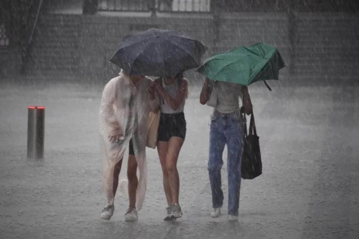 Синоптик Цыганков спрогнозировал самые сильные дожди на неделе в Москве
