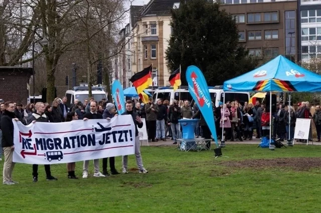Демонстрация «Альтернативы для Германии». Дюссельдорф, Северный Рейн-Вестфалия, Германия.