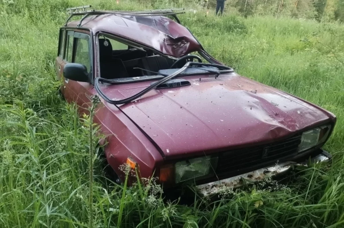 10 июня в Калязинском округе «ВАЗ-2104» сбил лося | АиФ Тверь