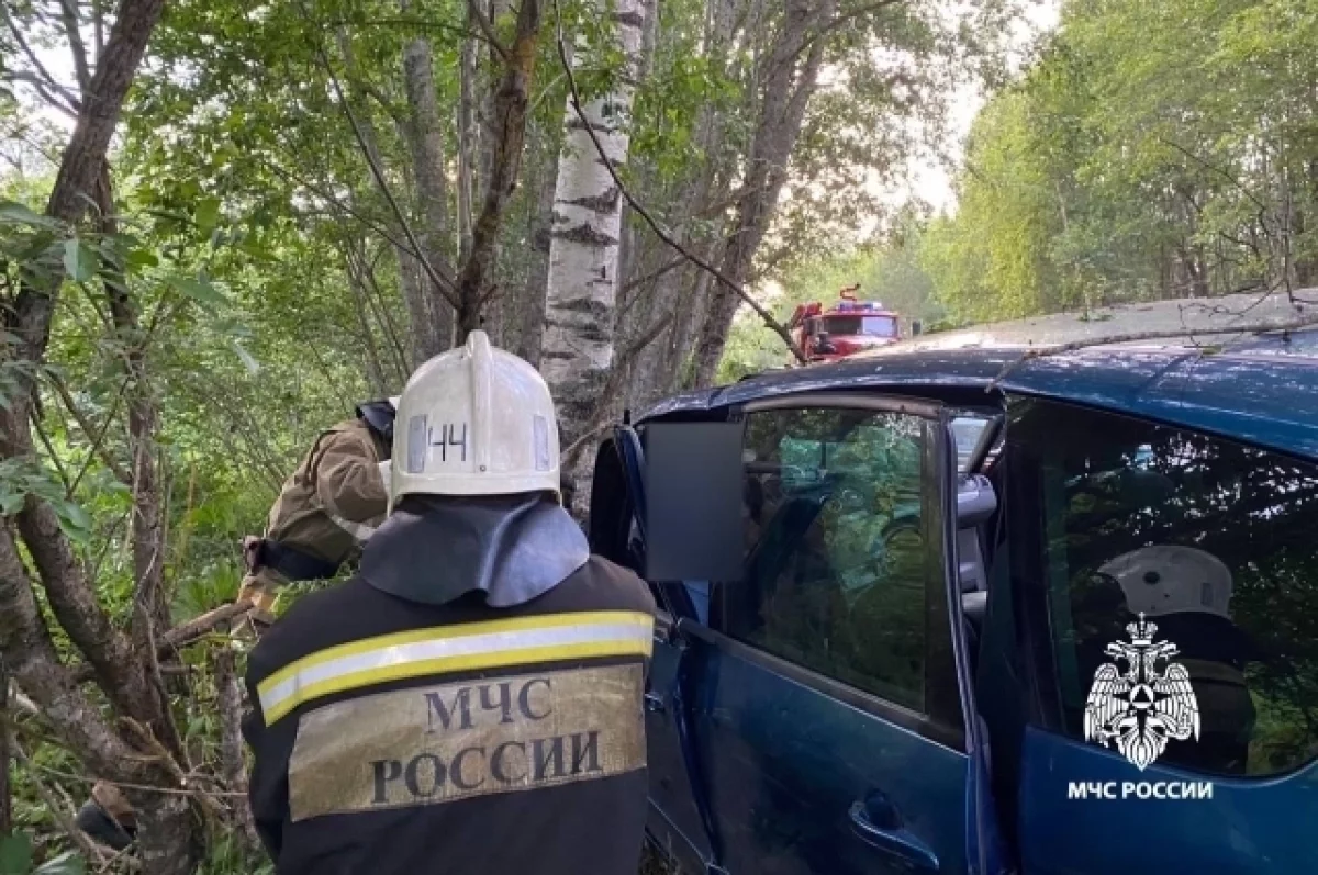 В Тверской области спасателям пришлось вызволять водителя после ДТП | АиФ  Тверь