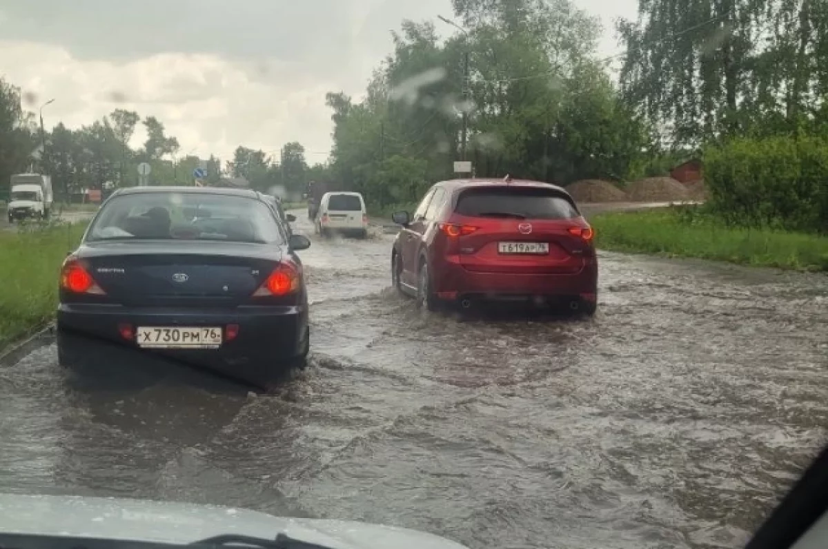 Под Ярославлем большая вода топит дачные участки | АиФ Ярославль