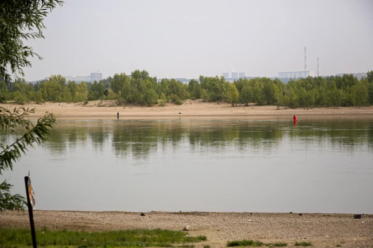 В Новосибирске уровень воды в Оби может превысить критические отметки | АиФ  Новосибирск