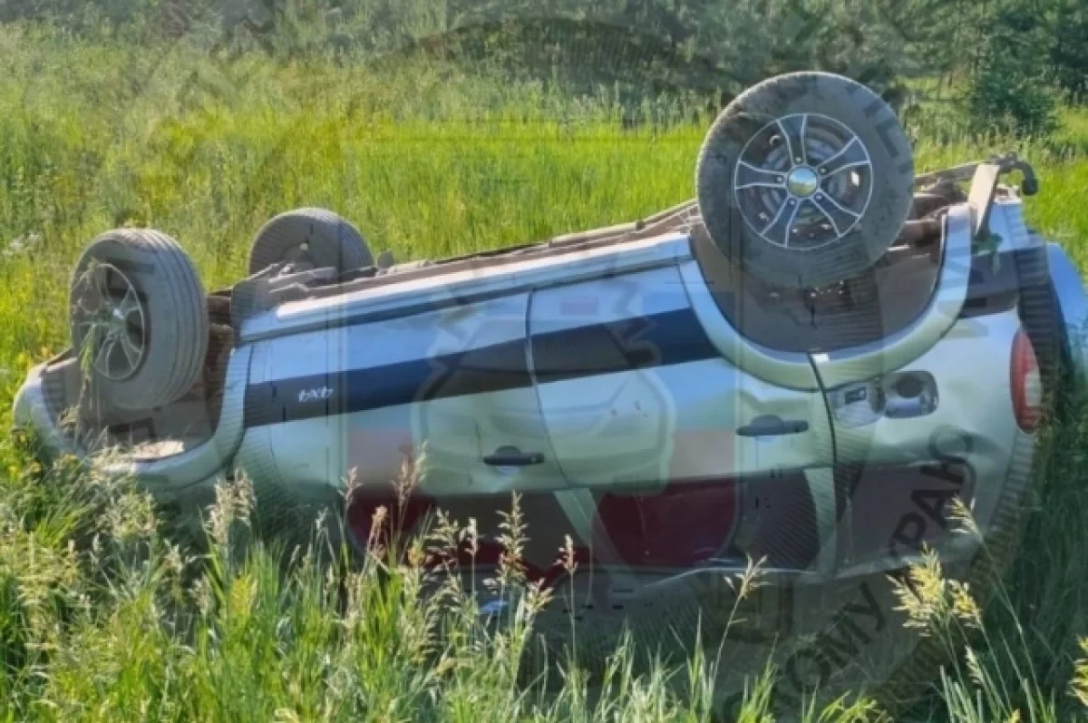 В Прикамье в страшном ДТП погибла женщина, пострадали девочка и пенсионерка  | АиФ Пермь