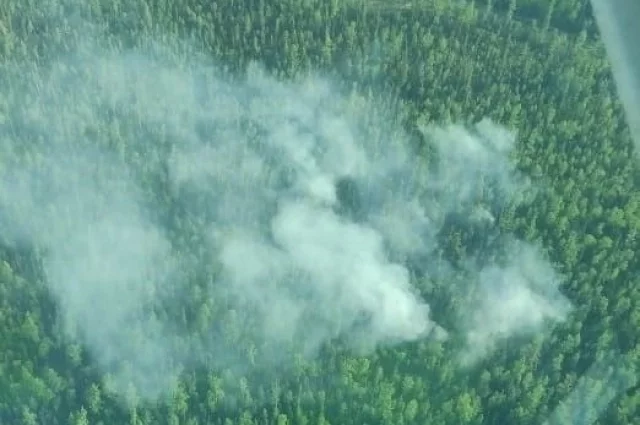По данным Росгидромета, в Сибири прогнозируется высокая пожарная опасность.