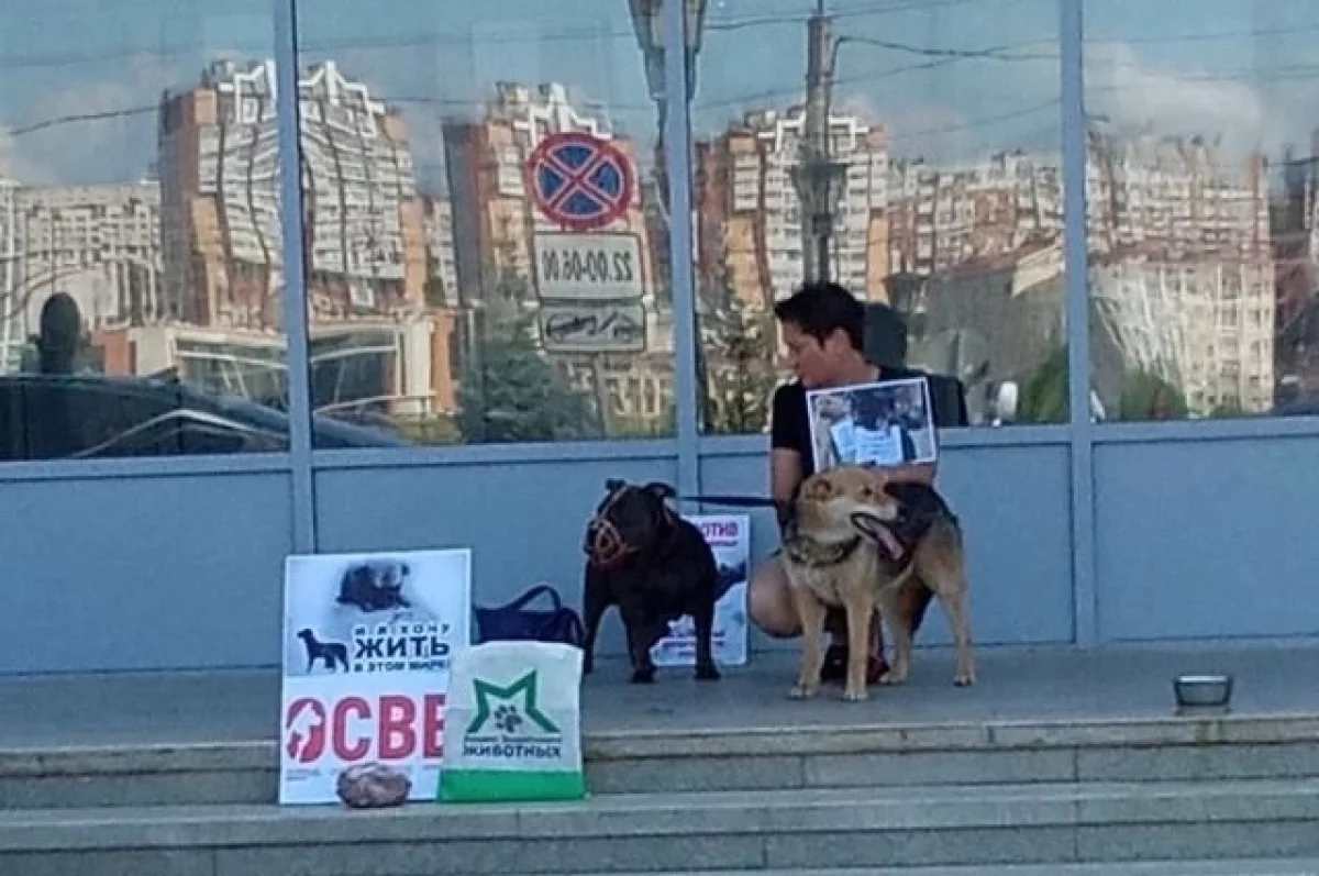 Одиночный пикет в защиту животных у здания правительства республики.