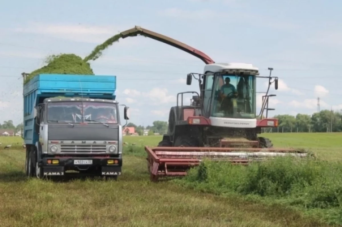 Земледельцы трех районов Брянщины заготовили две трети необходимого сенажа