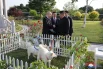 Лидер КНДР Ким Чен Ын подарил президенту России Владимиру Путину двух охотничьих собак редкой породы пхунсан.