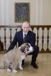 Президент РФ Владимир Путин в подмосковной резиденции Ново-Огарево со своей собакой Баффи.