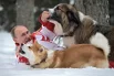 Президент России Владимир Путин с собаками Баффи и Юмэ на прогулке в Московской области.