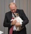 Президент РФ Владимир Путин держит на руках алабая по кличке Верный. 
