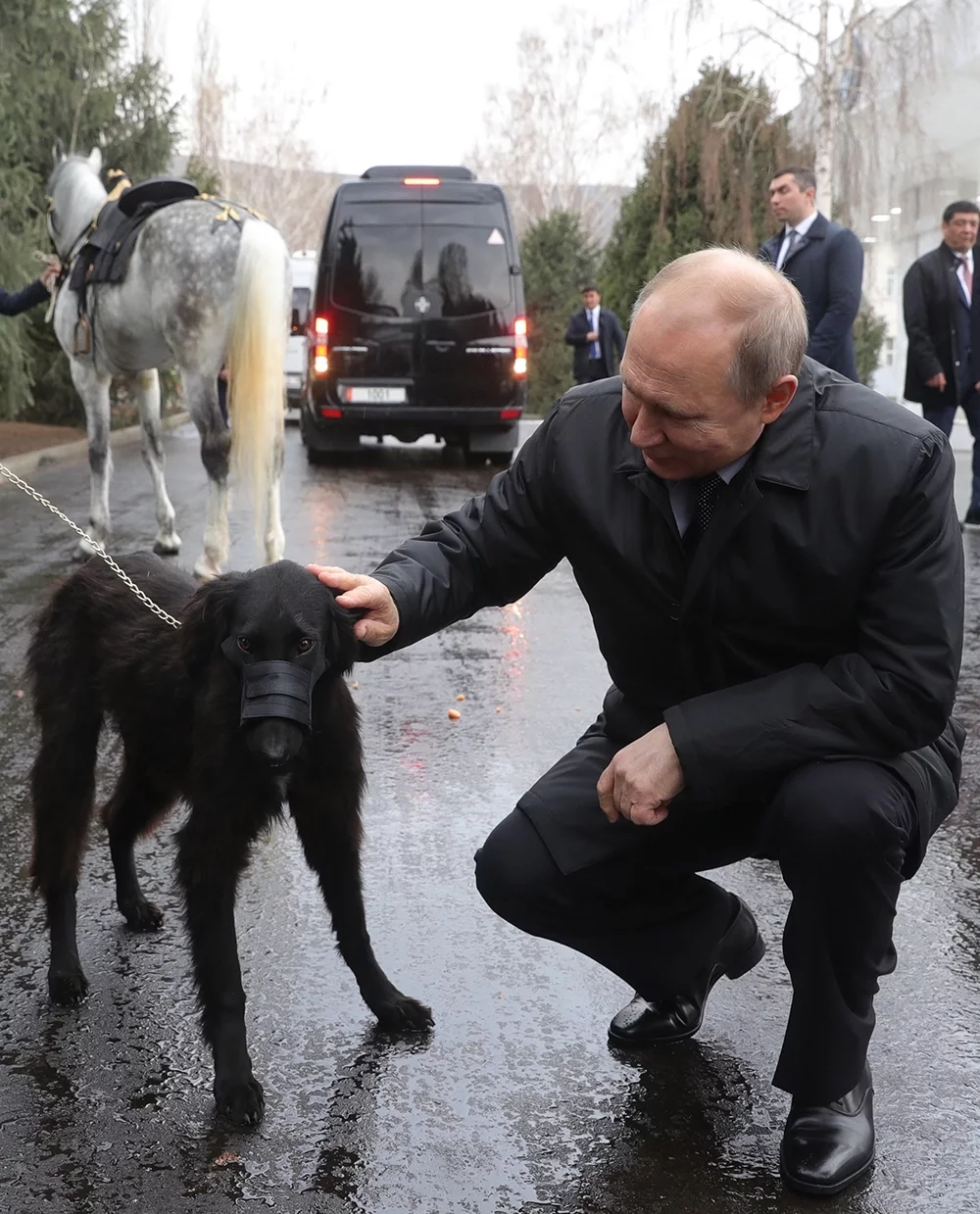 Собаки президента России Владимира Путина | Аргументы и Факты