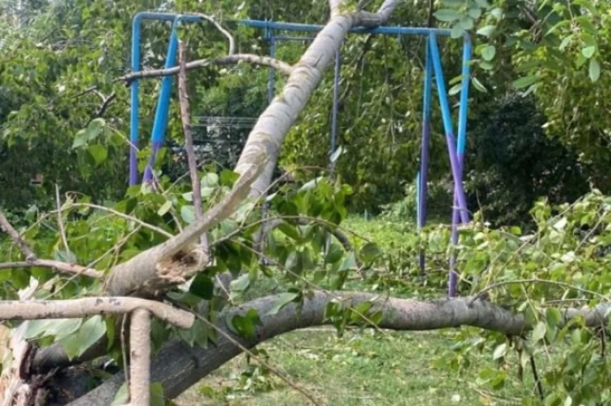 Штормовой ветер в Брянске повалил деревья, повредил провода и здания