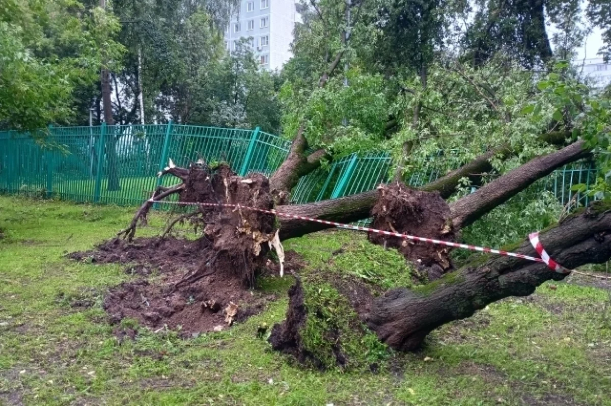 «Лимит на ливни исчерпан!» Что натворил ураган в московском регионе