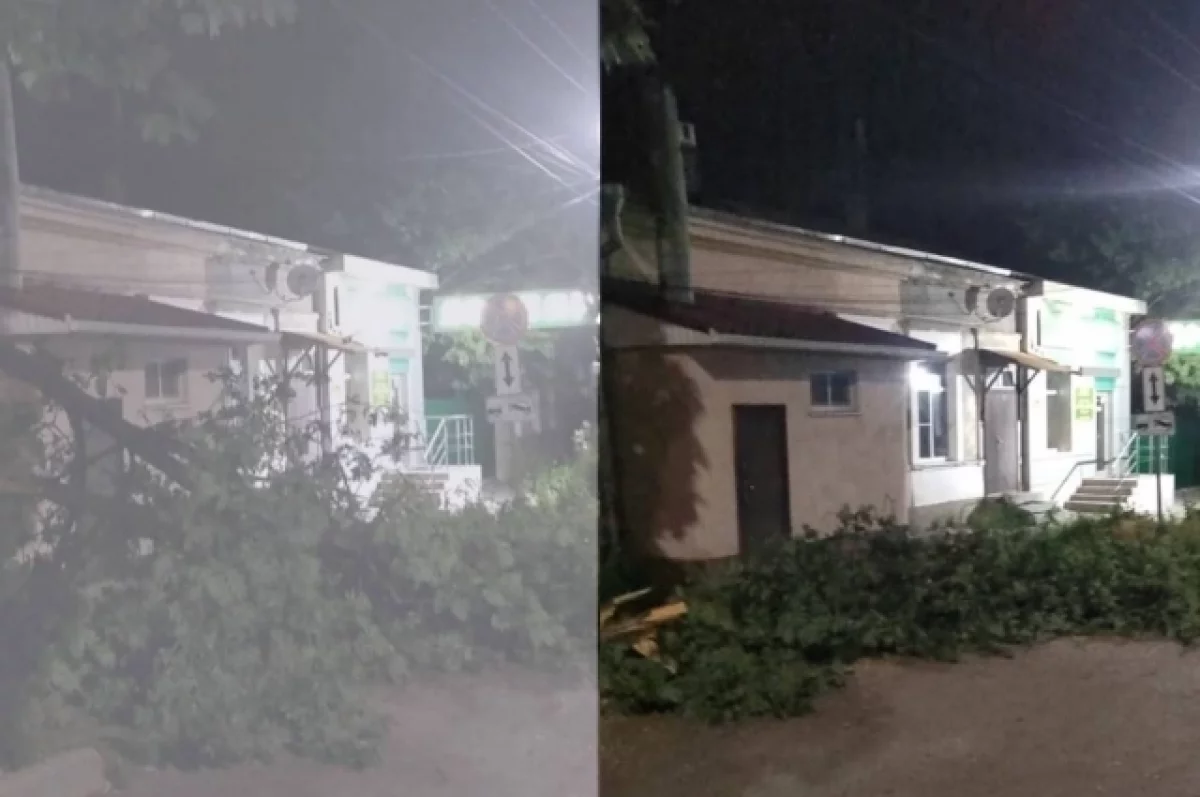 Сильный ветер в Таганроге повалил деревья и оборвал провода