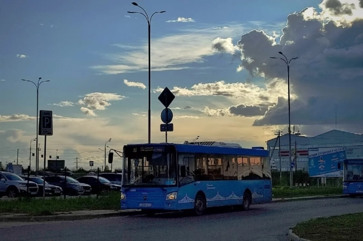 В субботу в Твери будут ходить 3 дополнительных рейса автобусов | АиФ Тверь