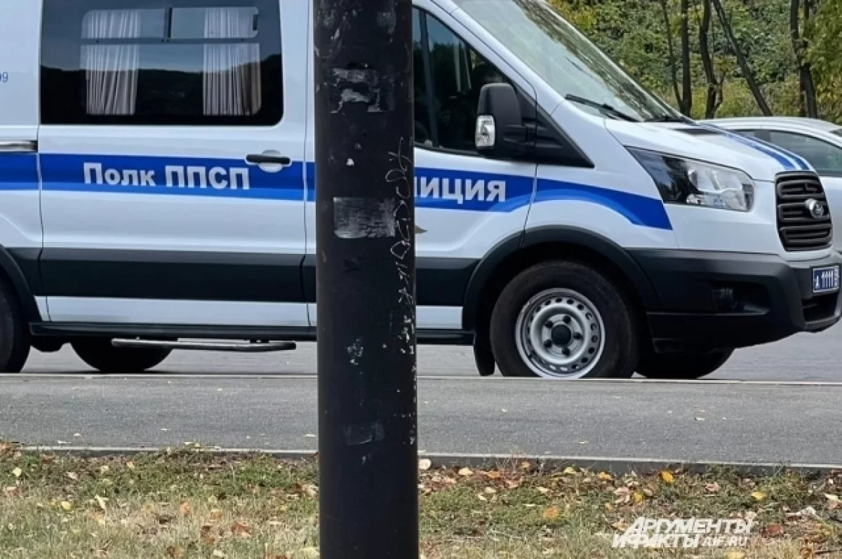 В Пермском крае мужчина открыл огонь из ружья по автомобилю КамАЗ | АиФ  Пермь