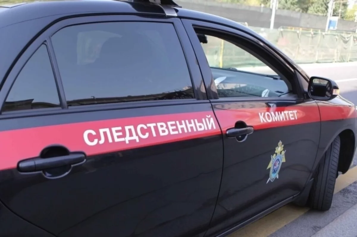 На депутата Красноярского края завели дело за избиение сожительницы