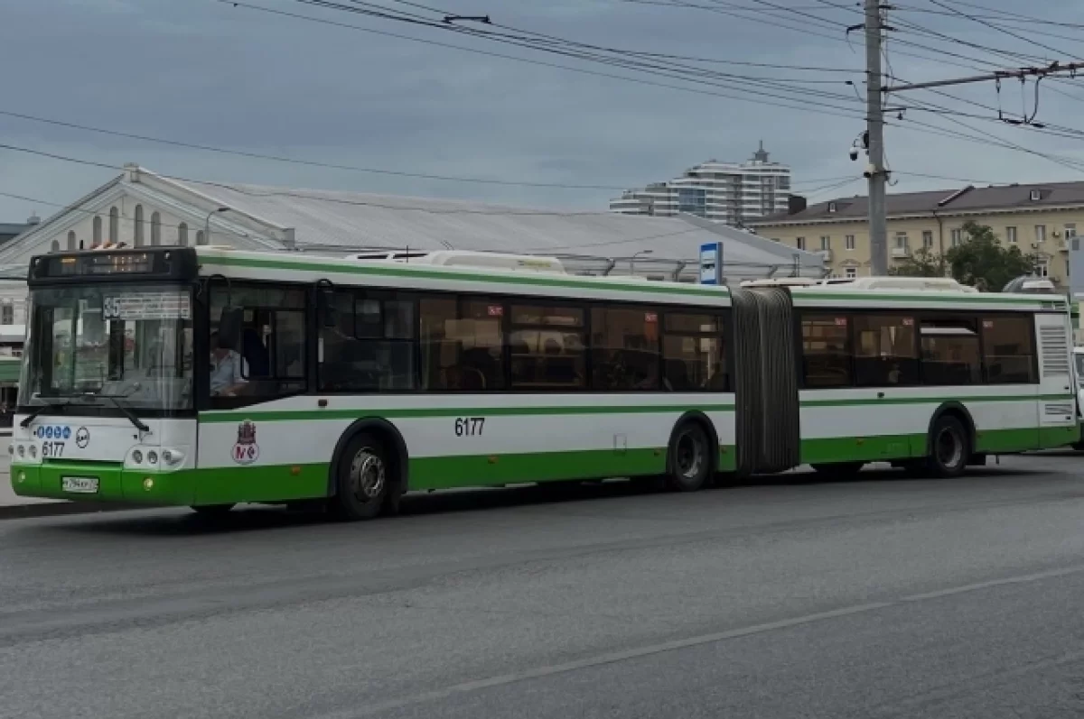 Ростовские власти попросили у Москвы пять автобусов-«гармошек»
