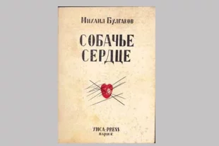 О чем книга „Собачье сердце“ Булгакова и в чем ее смысл?