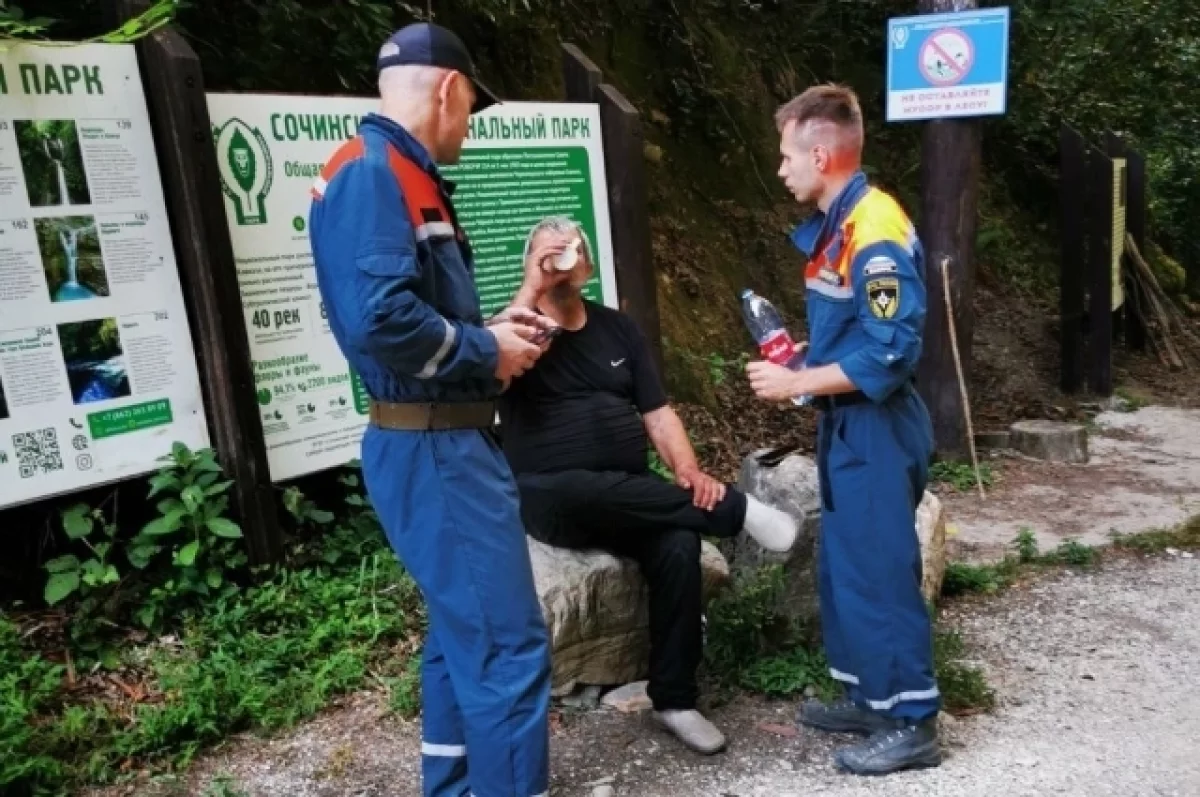 В Сочи заблудившийся турист провел ночь в лесу, пока его не нашли спасатели  | АиФ Краснодар