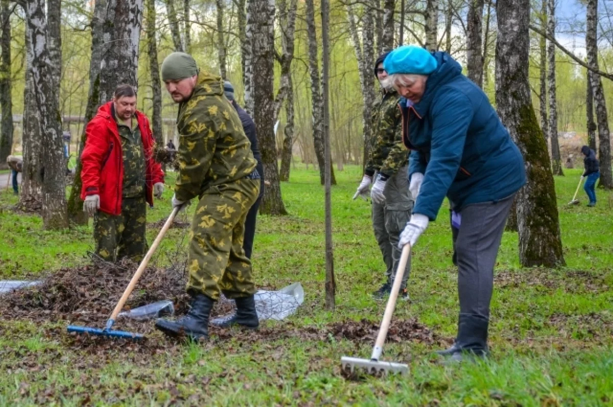 Жителей Салехарда пригласили на общегородской субботник | АиФ Ямал