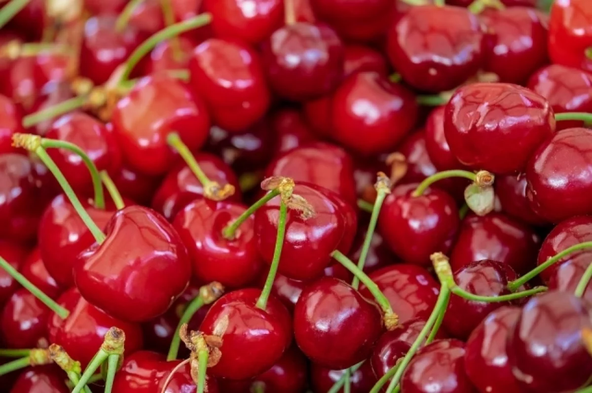 Сезон пользы. Эксперты назвали ягоду, защищающую от рака и болезней сердца