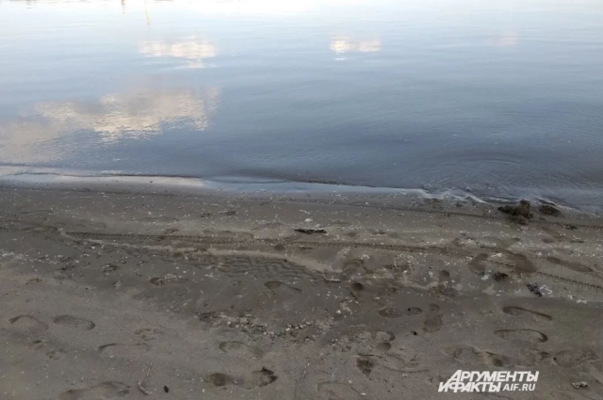 В Алтайском крае мужчина хотел перейти реку вброд и утонул